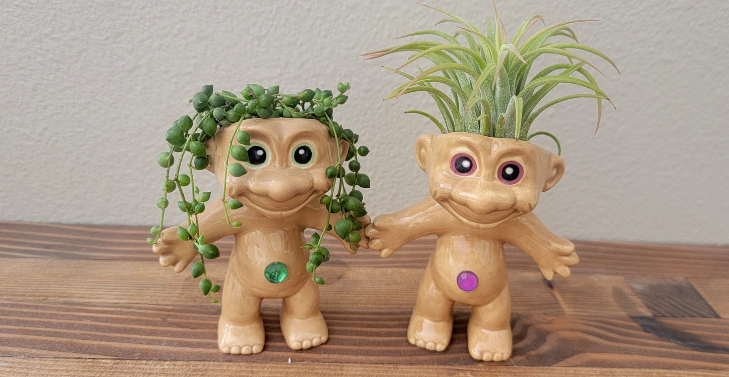 Treasure Troll Air Plant Holder