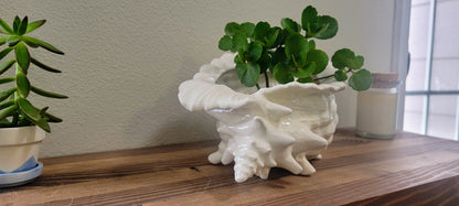 Conch Seashell Ceramic Planter