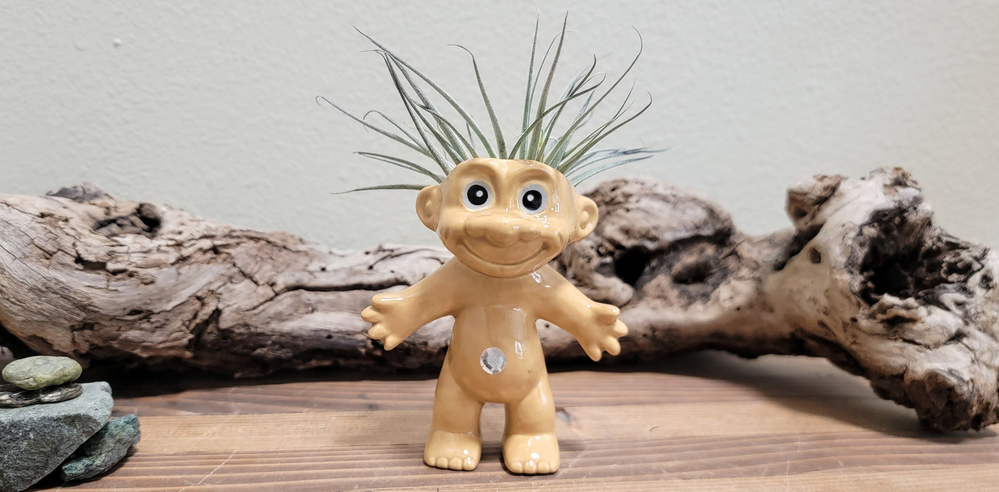 Treasure Troll Air Plant Holder