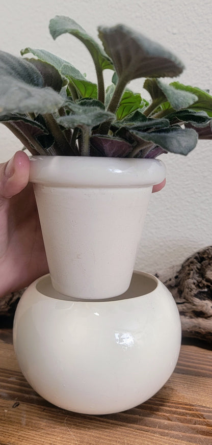 Small Round Self Watering / African Violet Pot