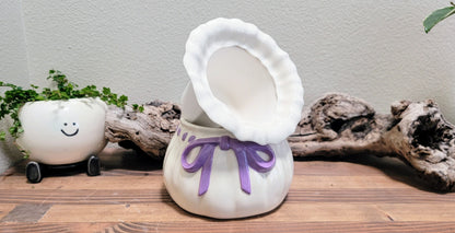 Coin Bag Self Watering Planter / African Violet Pot