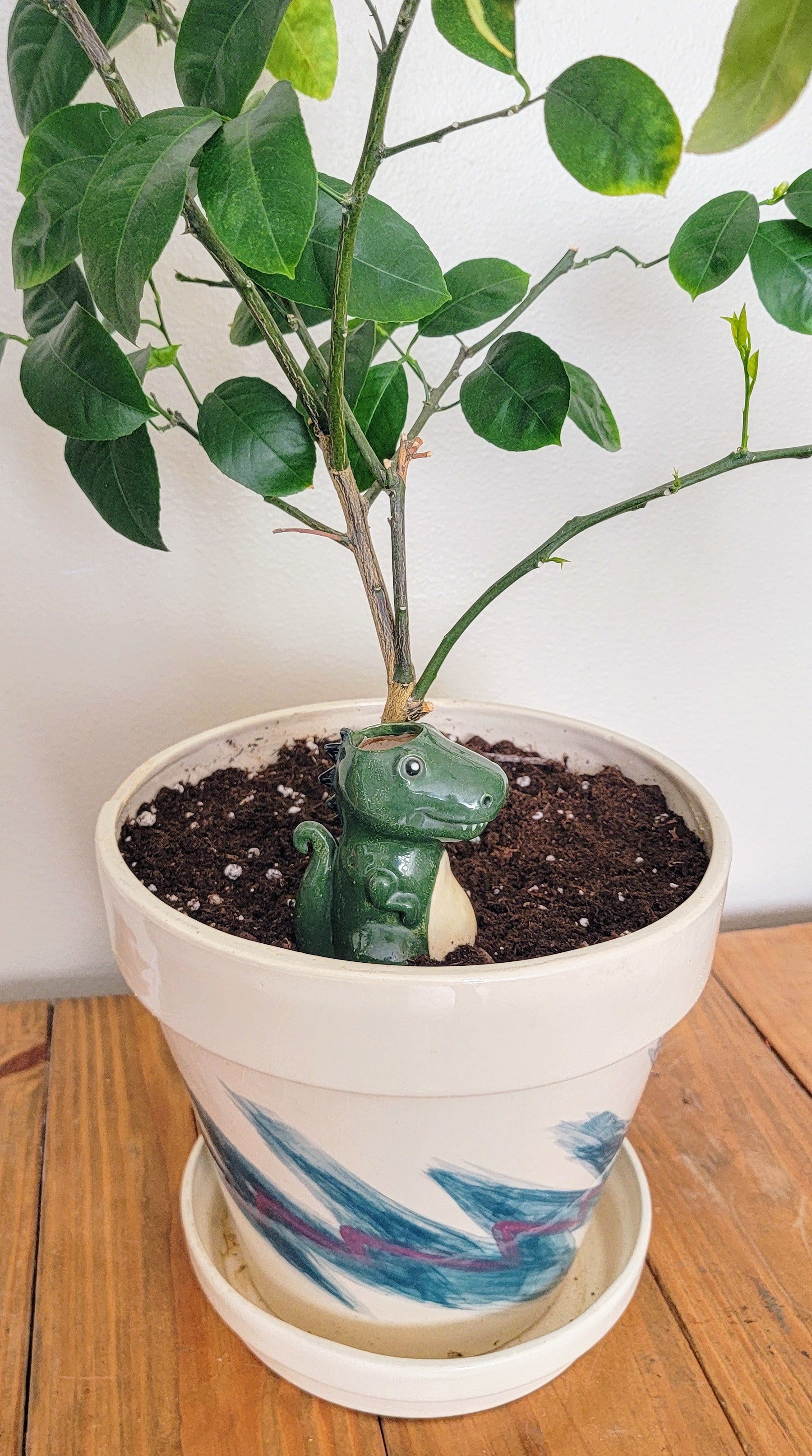 self watering dinosaur planter Dinosaur Watering Spike Red