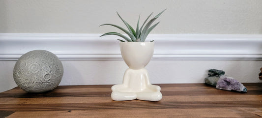 Yogi Airhead Plant Holder