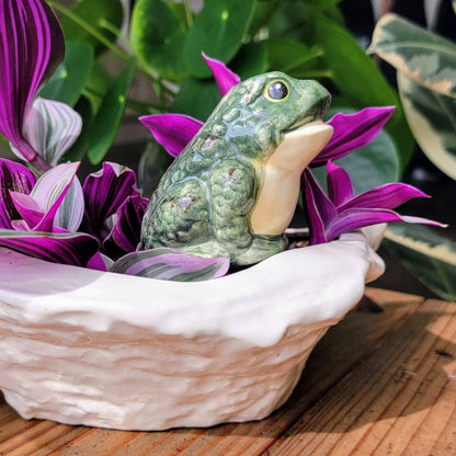 frog self watering planter Frog Watering Spike - Premium Ceramic
