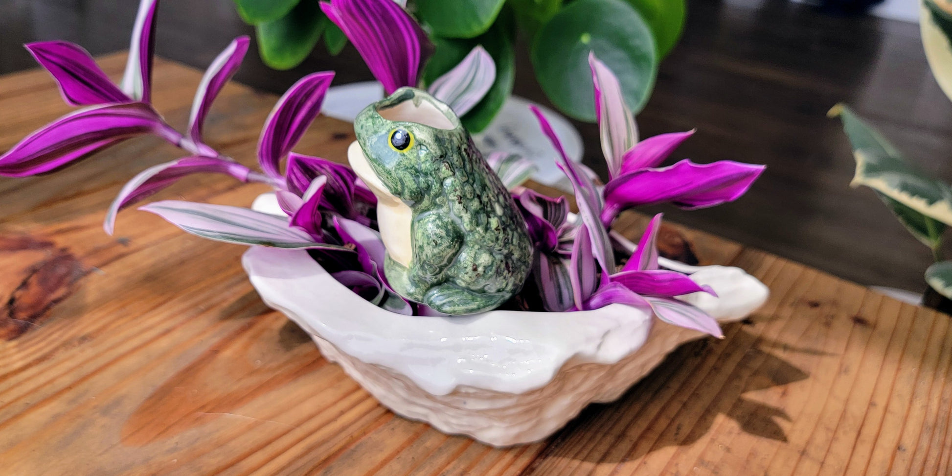 frog self watering planter Frog Watering Spike - Premium Ceramic