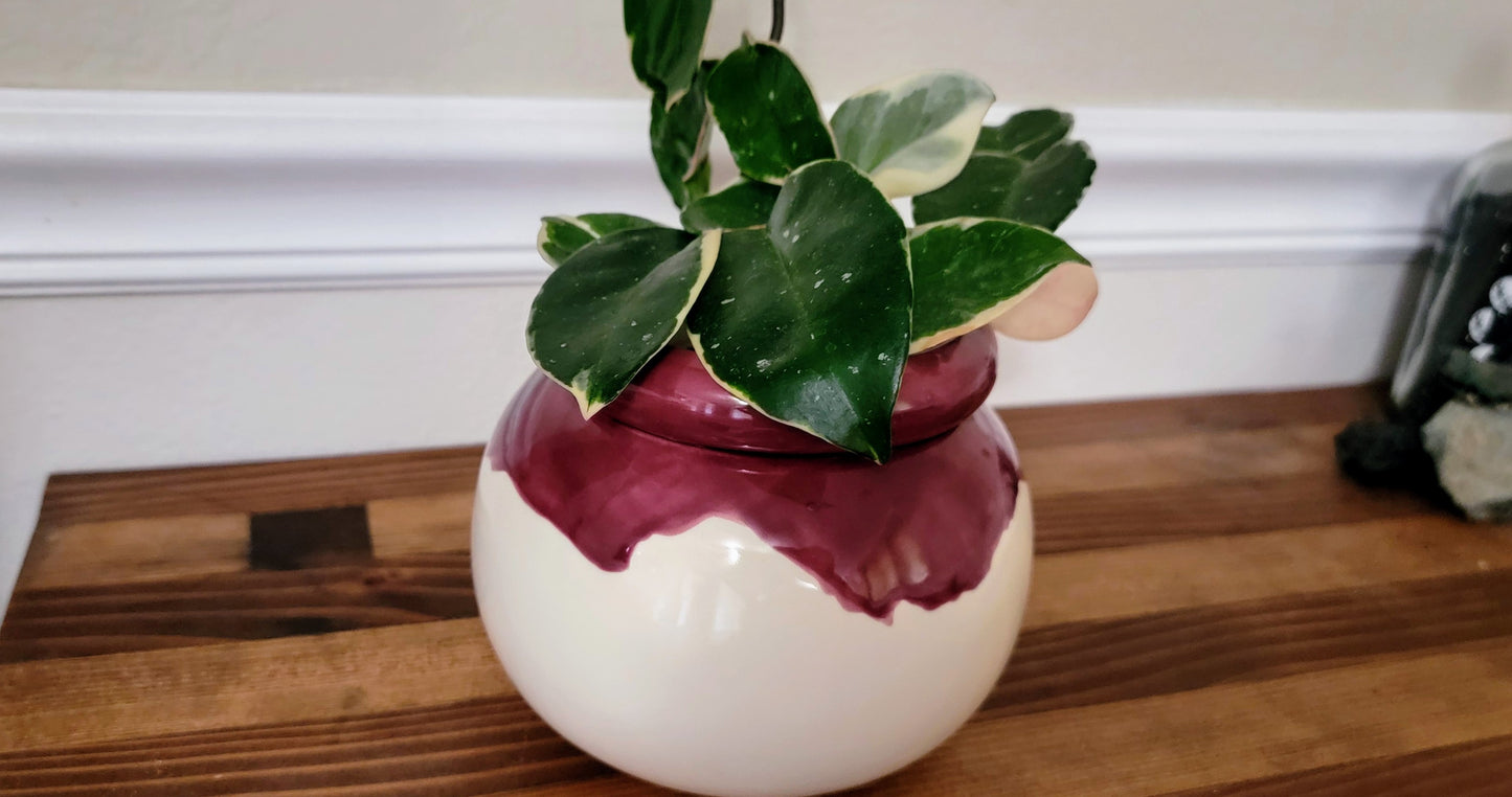 Medium Round Self Watering / African Violet Pot