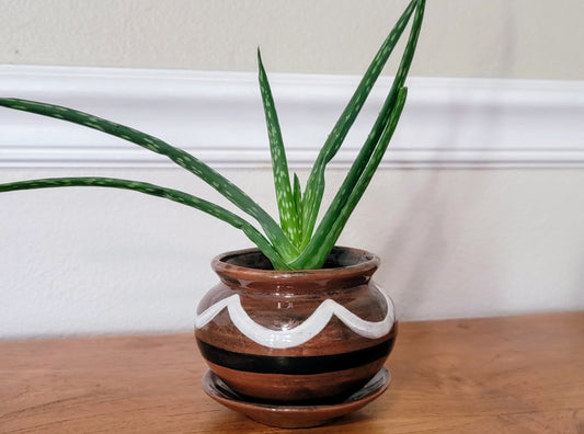 Small Zelda Seed Pot - Premium Handcrafted Ceramic Planter