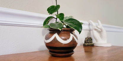 medium pot plant Medium Zelda Pot