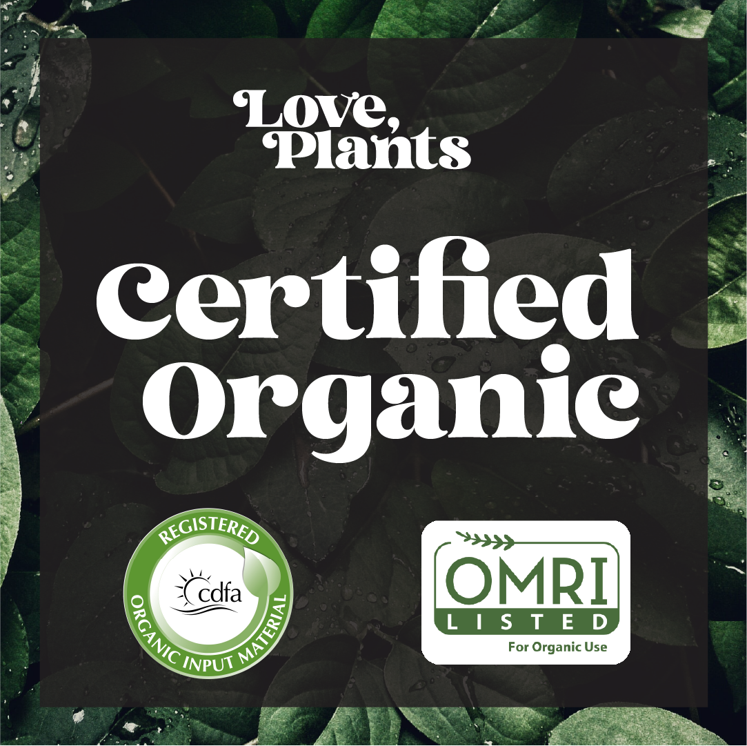 Black Magic Biochar by Love, Plants