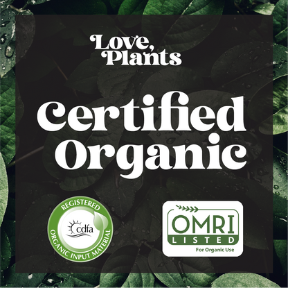Black Magic Biochar by Love, Plants