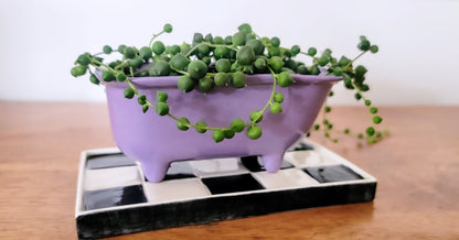 Small Bathtub Planter