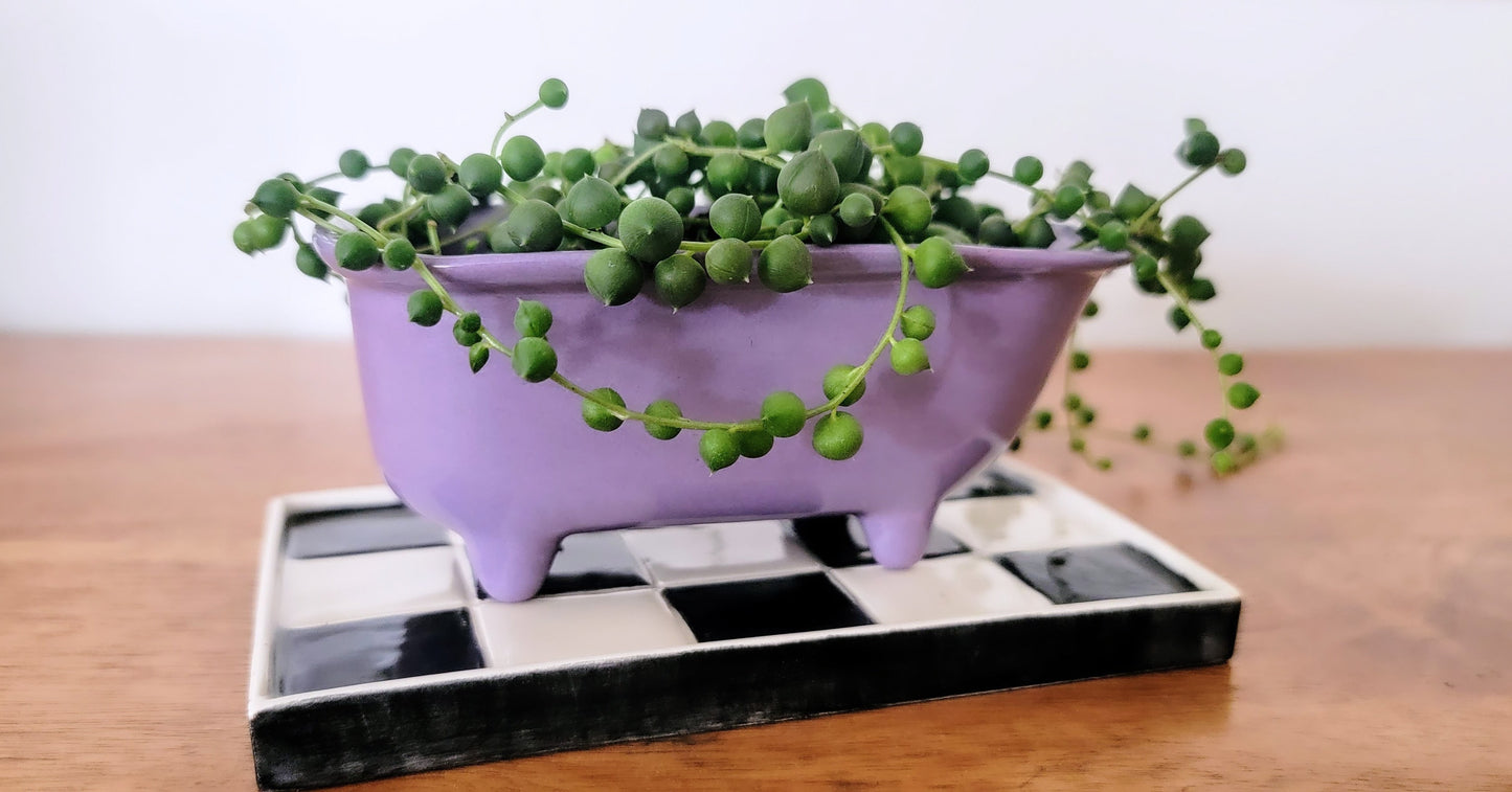 Small Bathtub Planter with Tile Floor Water Catch