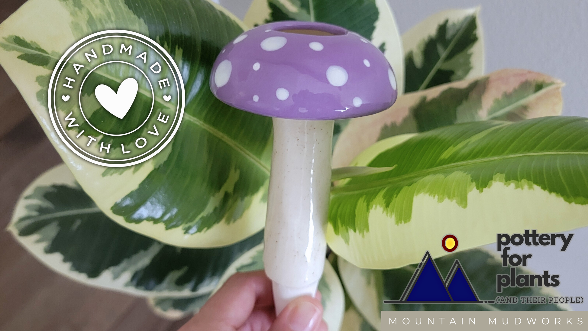 self watering mushroom planter Large Mushroom Watering Spike Rainbow