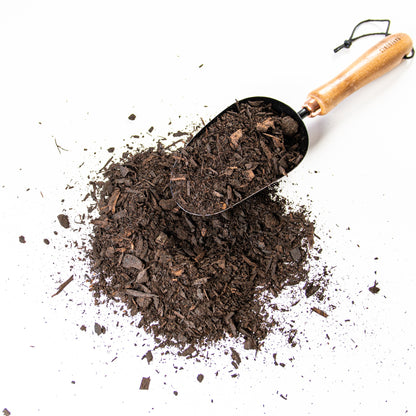 Magic Mushroom Compost by Love, Plants