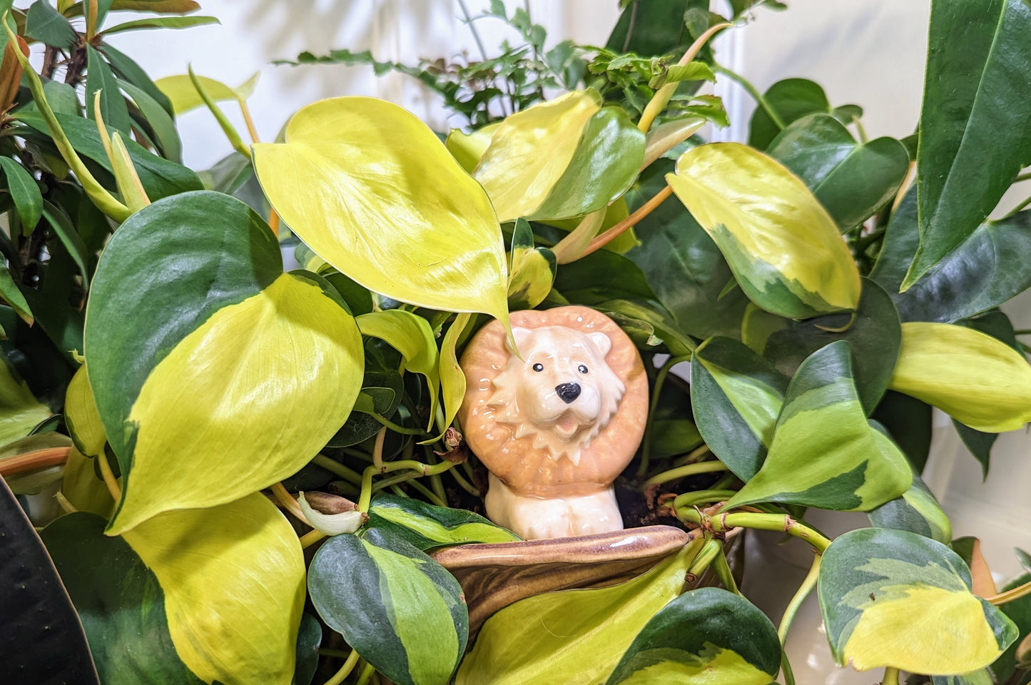 Lion Plant Watering Spike