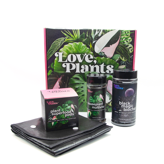 Houseplant Repotting Kit by Love, Plants