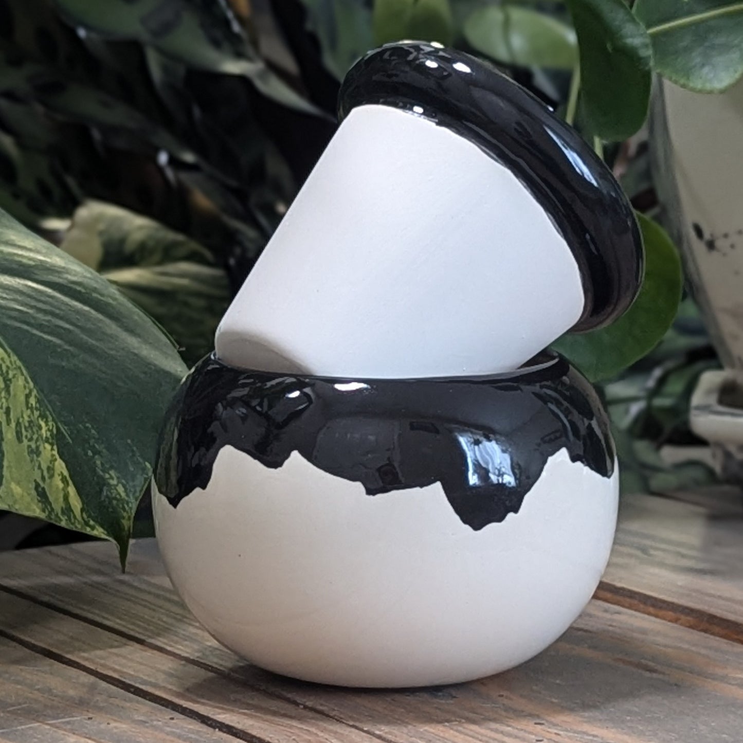 Small Round Self Watering / African Violet Pot