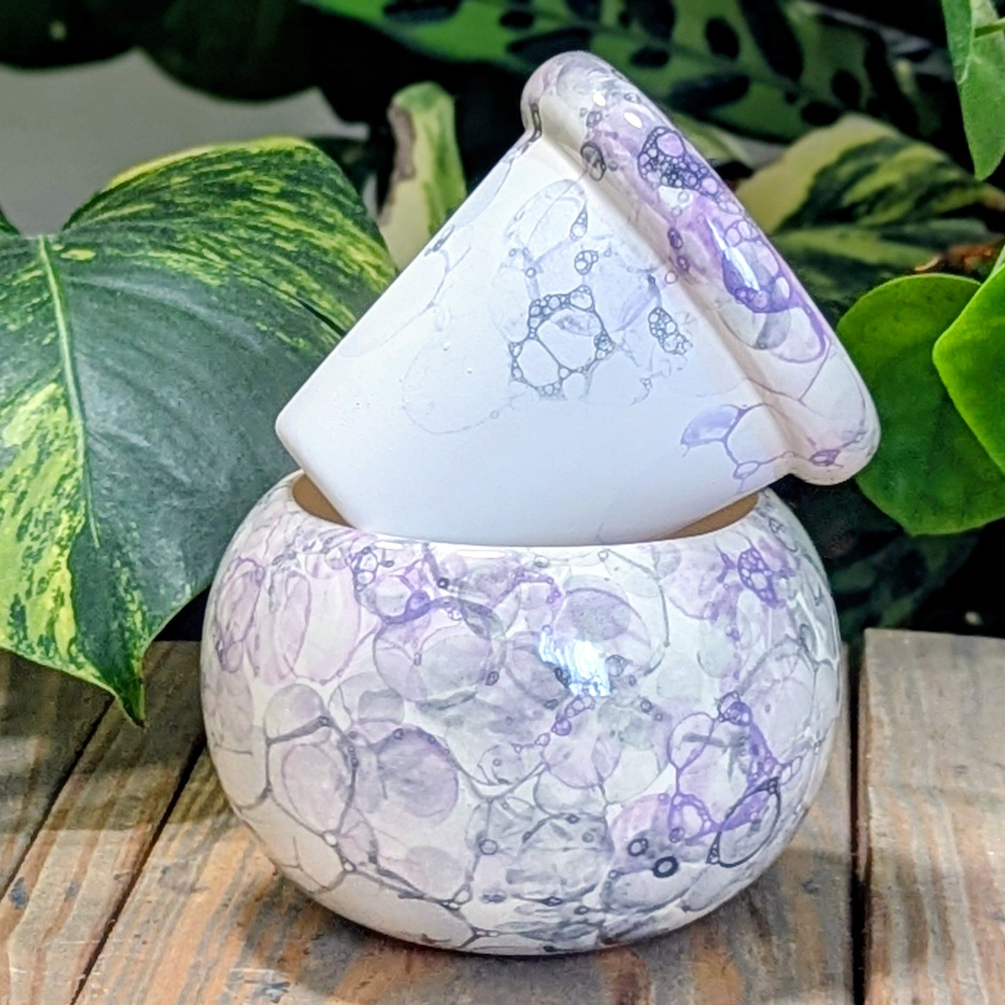 Small Round Self Watering / African Violet Pot