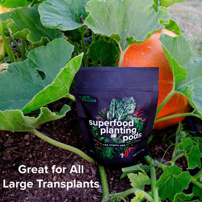 Plant Superfood Pods by Love, Plants