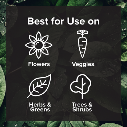 Black Magic Biochar by Love, Plants