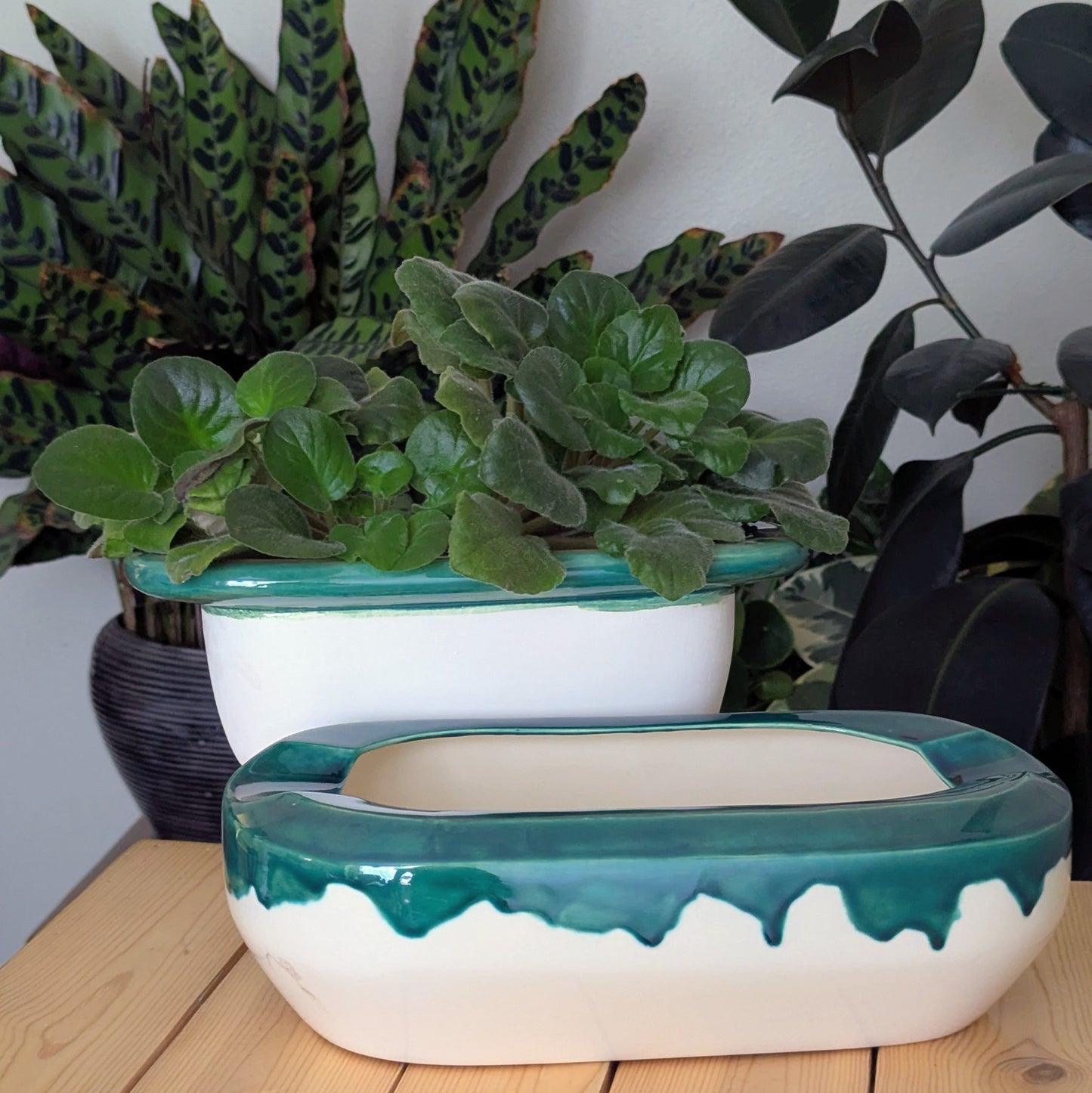 Extra Large Self Watering / African Violet Pot