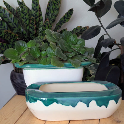 Extra Large Self Watering / African Violet Pot