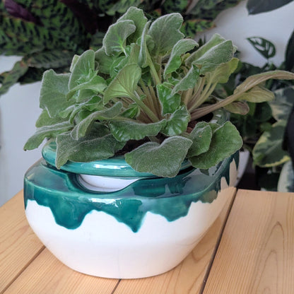 Extra Large Self Watering / African Violet Pot