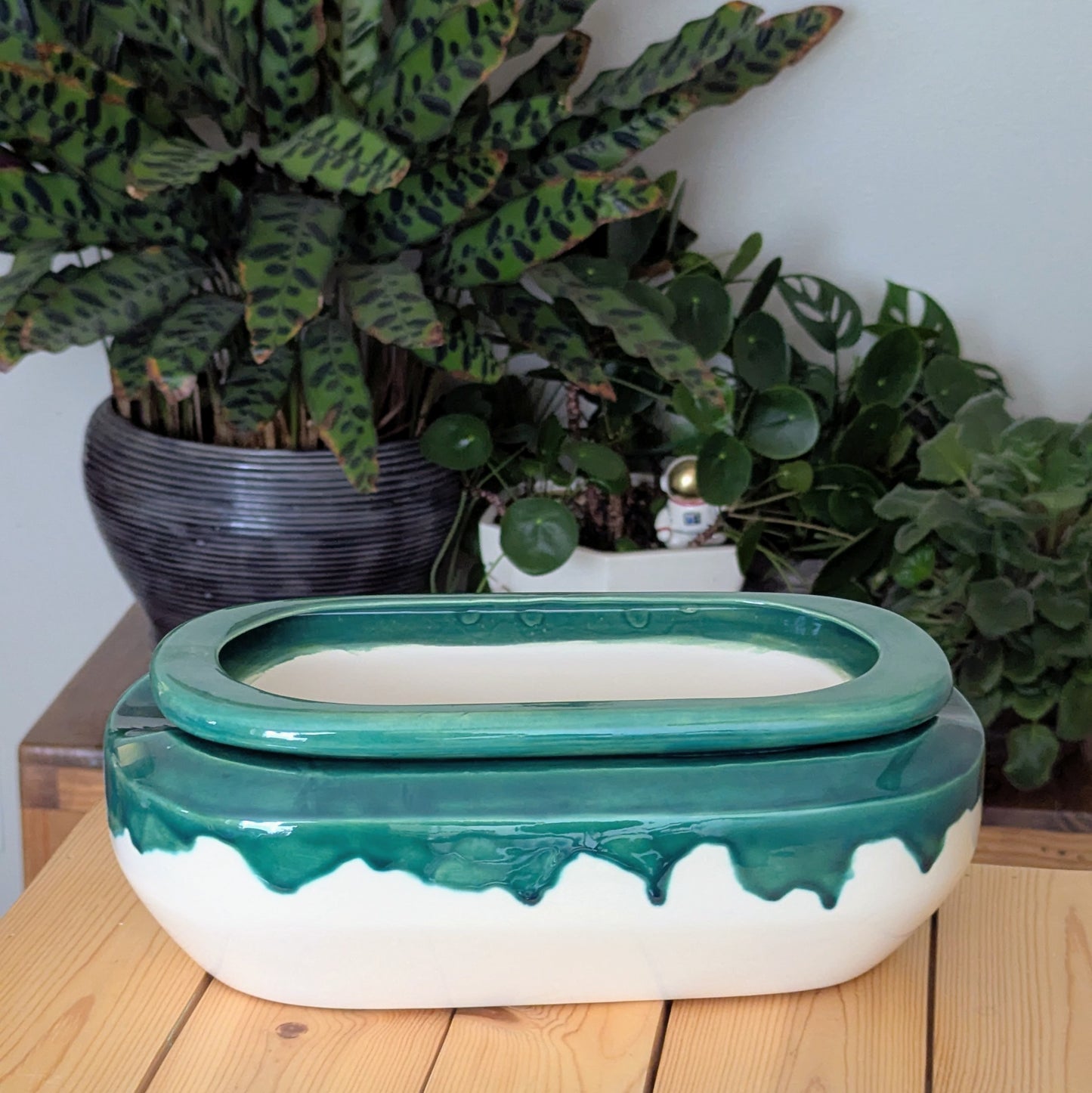 Extra Large Self Watering / African Violet Pot