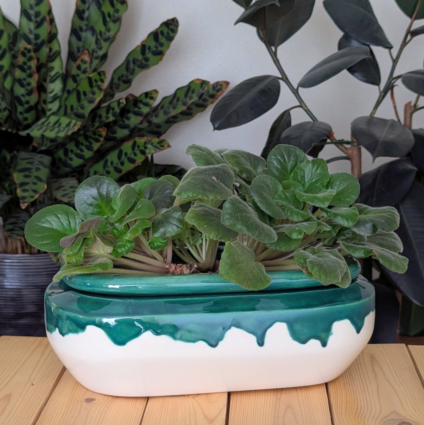 Extra Large Self Watering / African Violet Pot