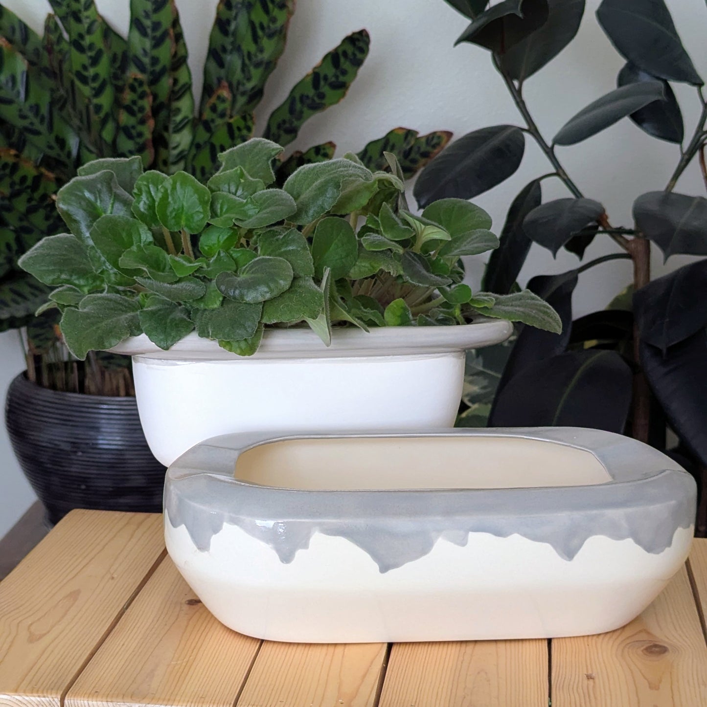 Extra Large Self Watering / African Violet Pot