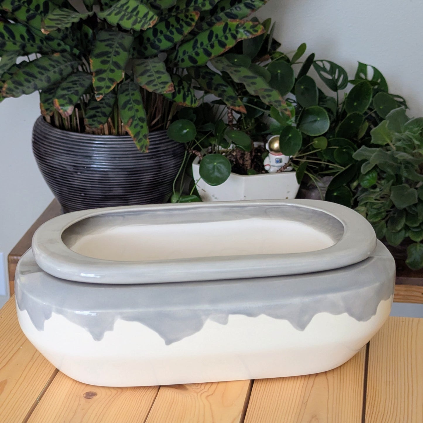 Extra Large Self Watering / African Violet Pot