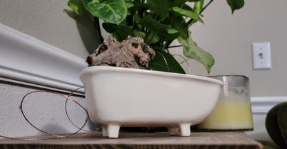 Medium Ceramic Bathtub Planter WITH Tile Floor Water Catch