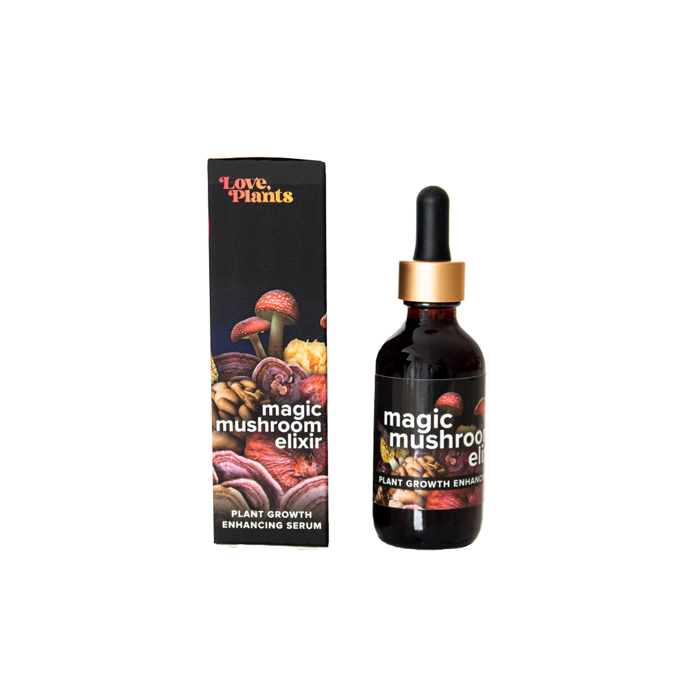 Magic Mushroom Elixir by Love, Plants