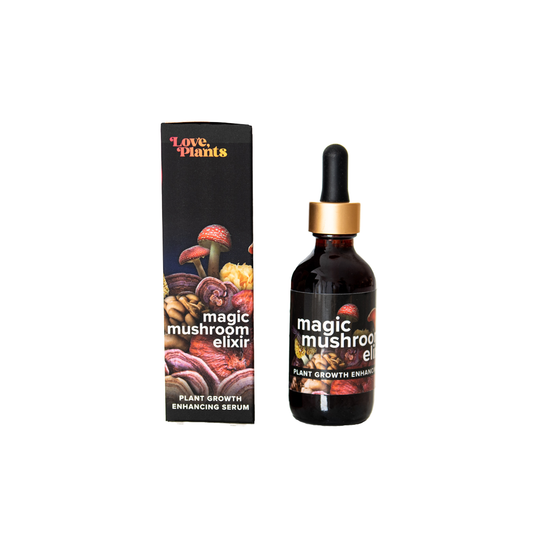 Magic Mushroom Elixir by Love, Plants