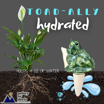 frog self watering planter Open-Mouth Frog Watering Spike - Ceramic Plant Tender