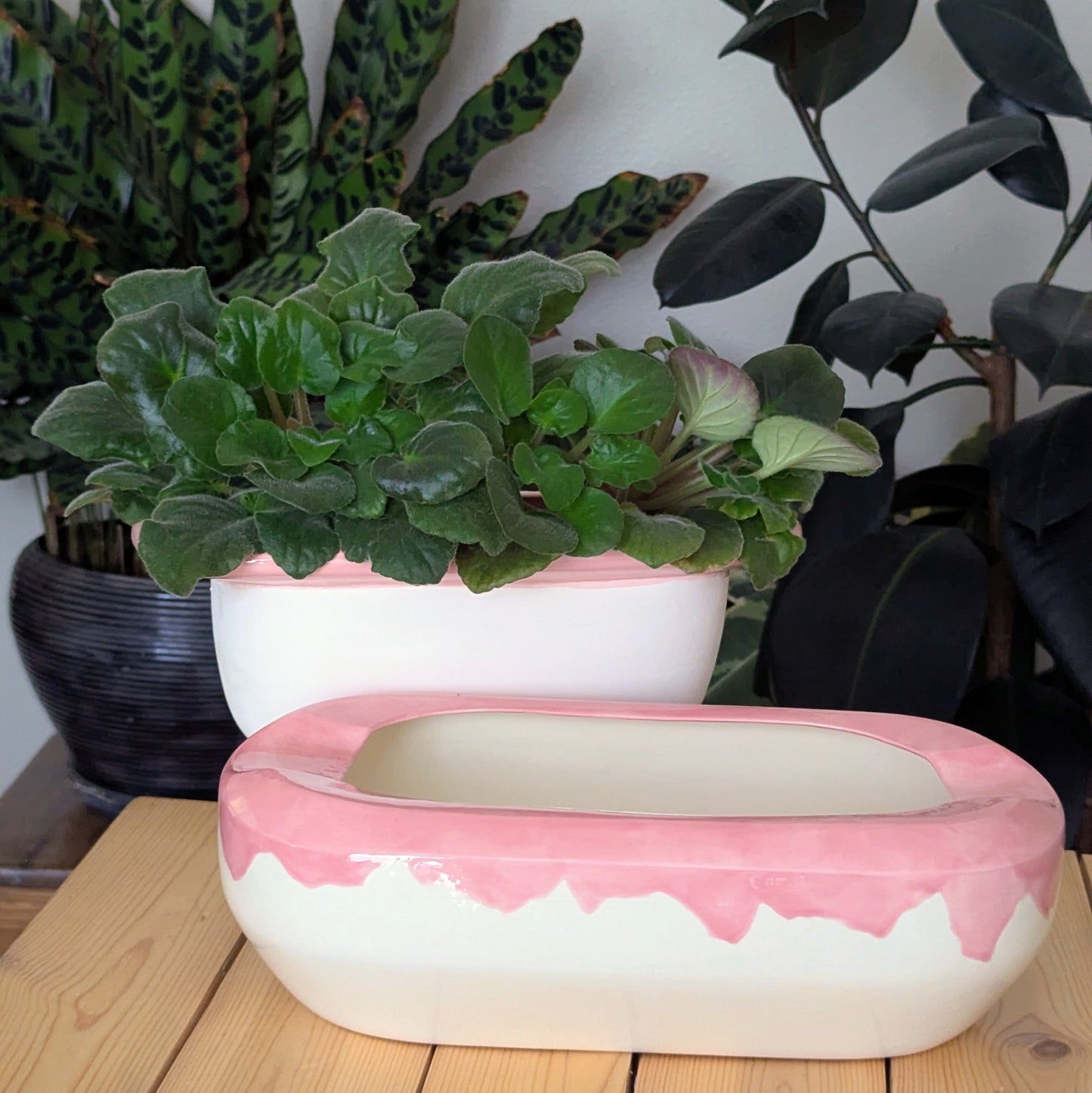 Extra Large Self Watering / African Violet Pot