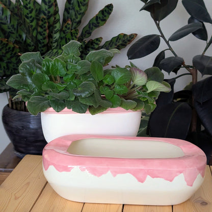 Extra Large Self Watering / African Violet Pot