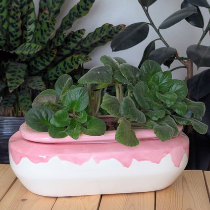 Extra Large Self Watering / African Violet Pot