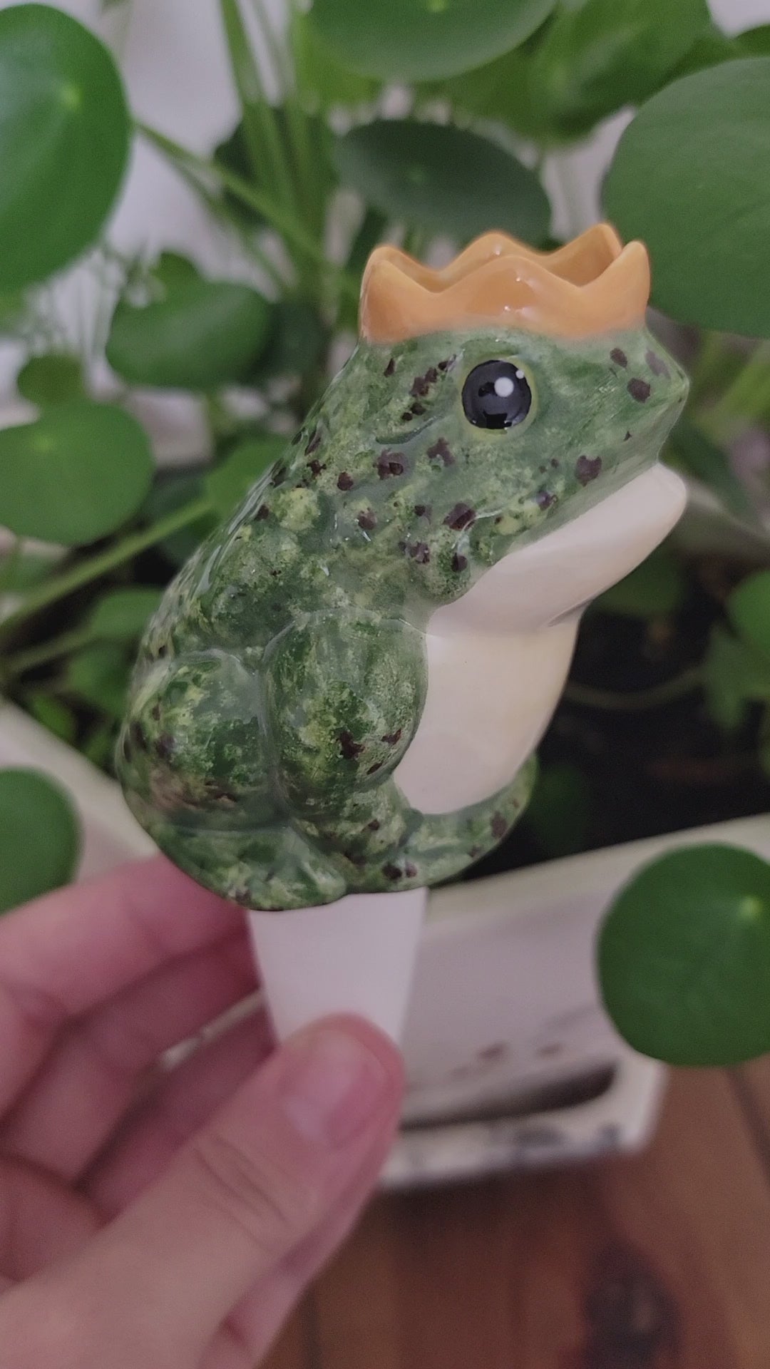 Charming Prince Frog Watering Spike - Premium Ceramic Plant Tender