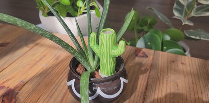 Cactus Watering Spike