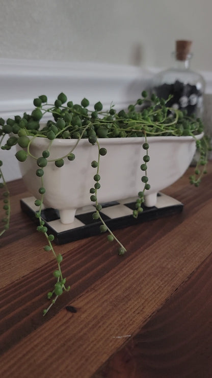 Medium Ceramic Bathtub Planter with Tile Floor Water Catch