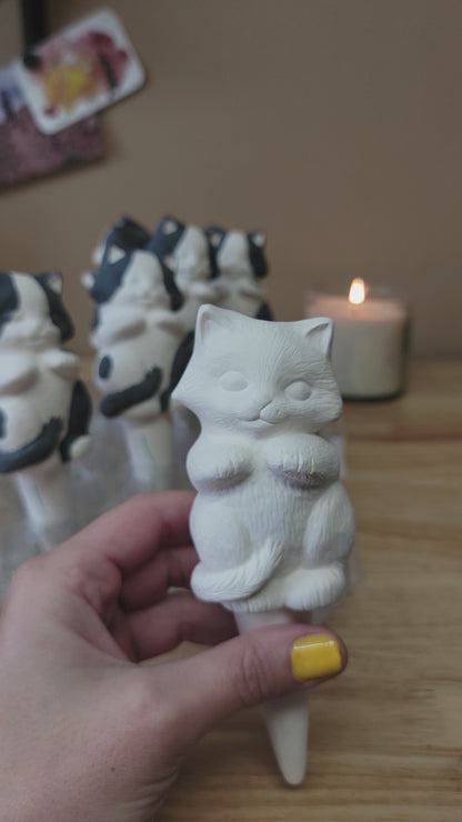 Kitten Watering Spike