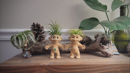 Treasure Troll Air Plant Holder