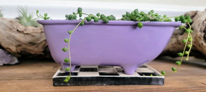 Medium Ceramic Bathtub Planter with Tile Floor Water Catch