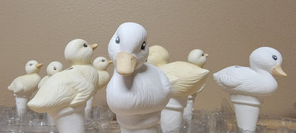 Duck Watering Spike