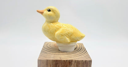 Duck Watering Spike