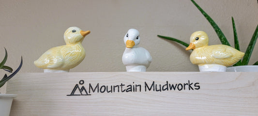 Duck Watering Spike