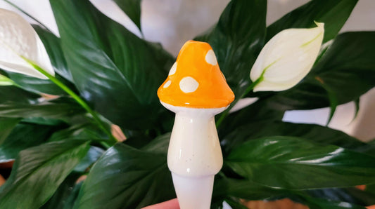 Small Toadstool Watering Spike