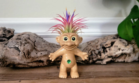 Treasure Troll Air Plant Holder