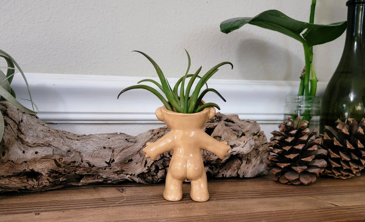 Treasure Troll Air Plant Holder